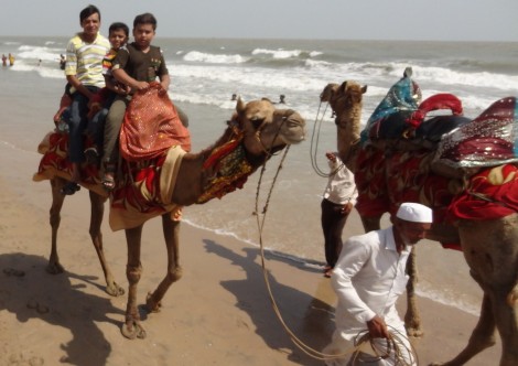camel-ride-on-the-beach-176